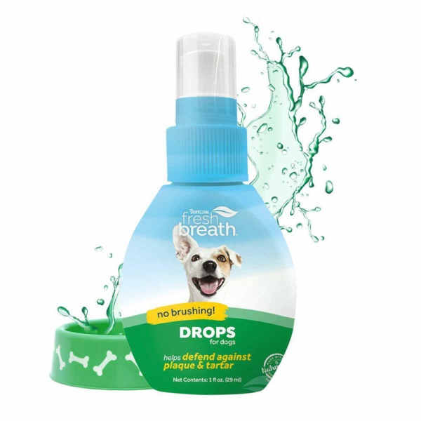 Frisk ånde til hund