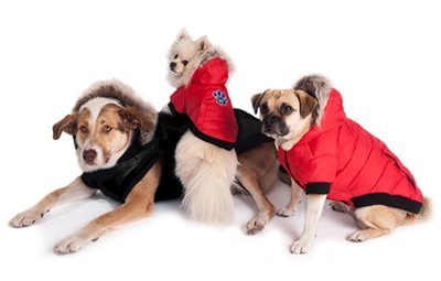 Canada Pooch North pole parka. - Billede 2