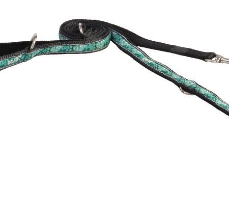 Rogz fancy dress multi line mint black