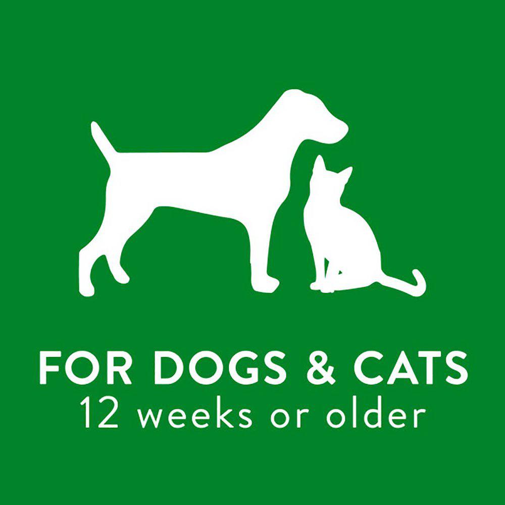 TropiClean Havremel & Tea Tree Pet Shampoo 355 ml.