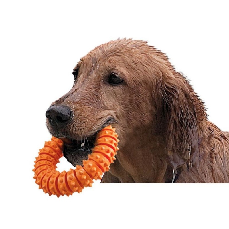 Flamingo Ruffus aqua ring orange 15 cm.