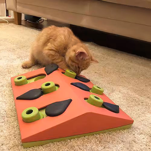 Nina Ottosen Petstages Cat Puzzle & Play Melon Madness
