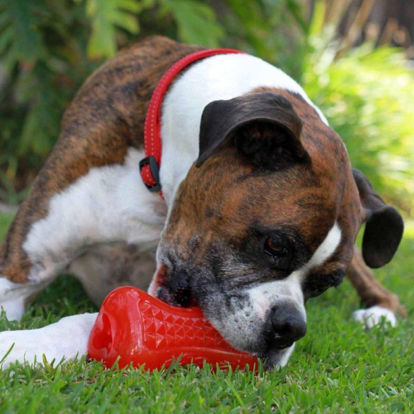 Rogz Yumz Treat Toy i rød.