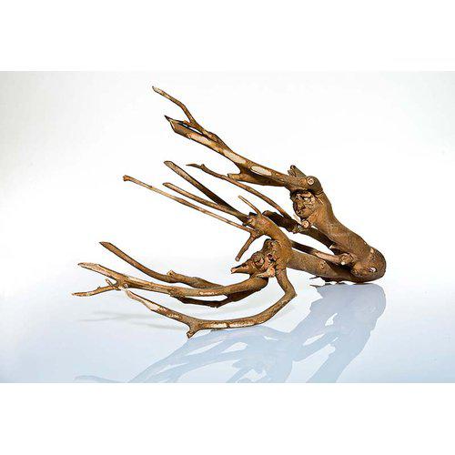 Talawa Wood 30-45 cm. - Billede 2
