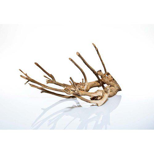 Talawa Wood 30-45 cm. - Billede 4
