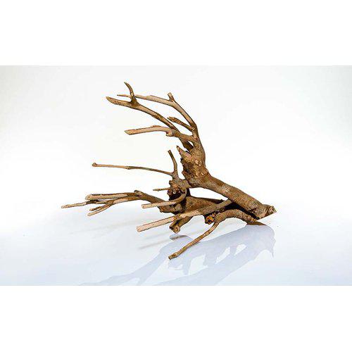 Talawa Wood 30-45 cm.