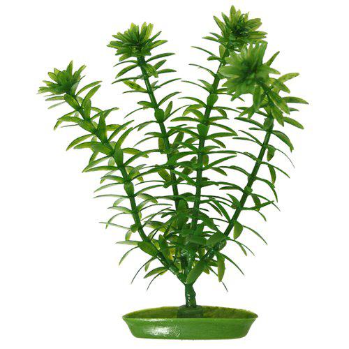 Marina plastik Anacharis planter til akvarie 13 cm.