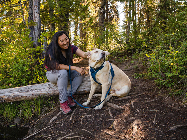 Ruffwear front range sele blue moon XXS - Billede 7