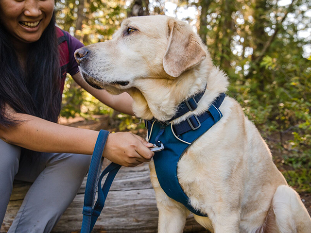 Ruffwear front range sele blue moon XXS - Billede 3