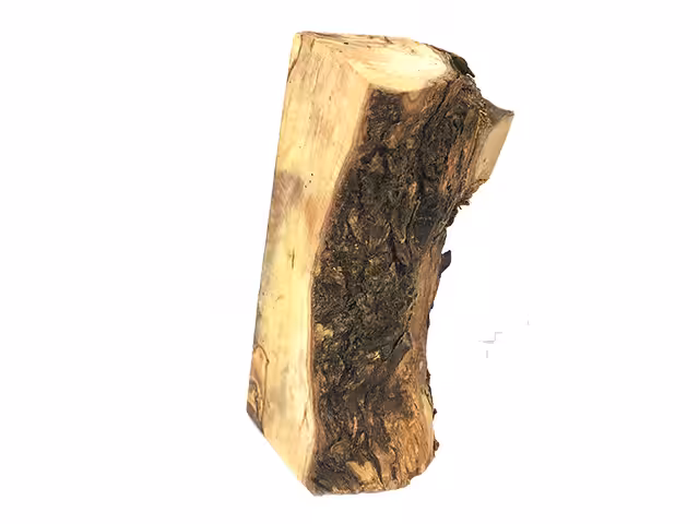 Olivi XL