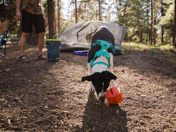 Ruffwear Front Range Sele, Aquagrøn