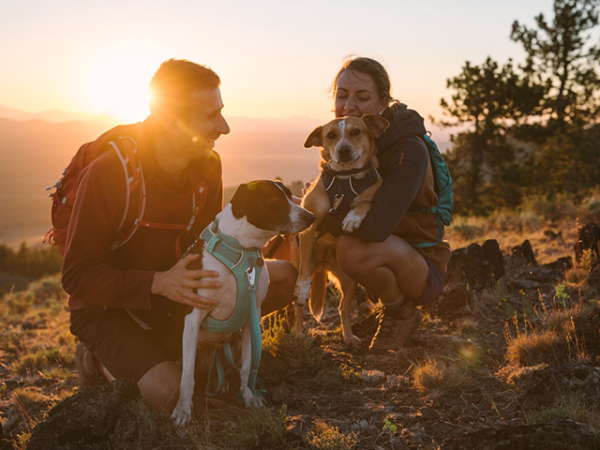 Ruffwear Front Range Sele, Aquagrøn