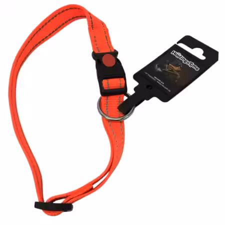 jagthalsbånd til hund orange
