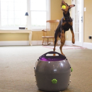 Petsafe automatisk boldkaster