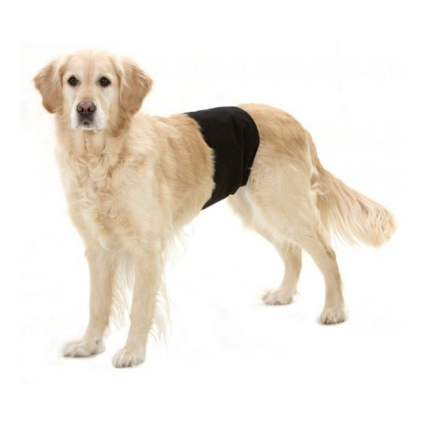 Karlie Gentleman Wraps plus black, bukser til hanhunde.