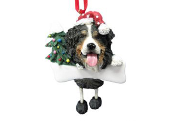 Christmas Dangling, Berner Sennen