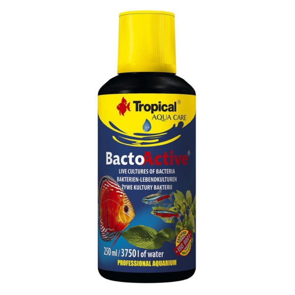 Tropical bacto