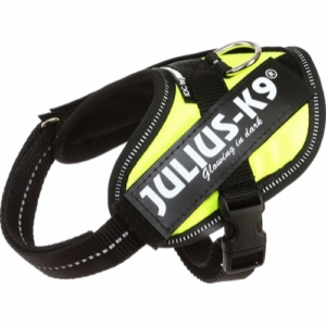Julius K9 IDC sele, flere størrelser i UV neon grøn.