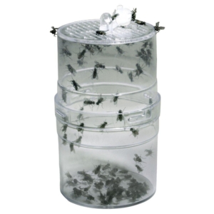 Lucky Reptile Fly Feeder.