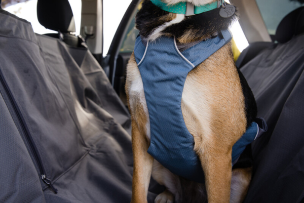 Ruffwear Load Up™ stærk sikker bilsele