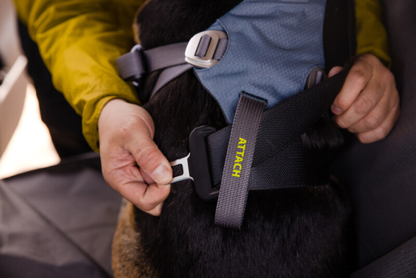 Ruffwear Load Up™ stærk sikker bilsele