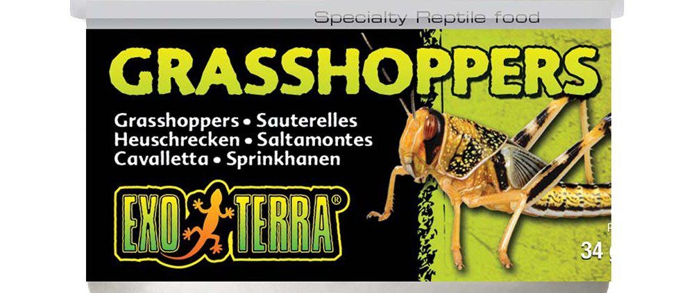 Exoterra græshopper