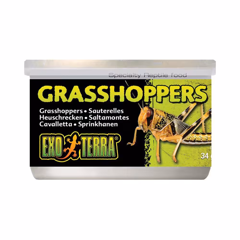 Exoterra græshopper
