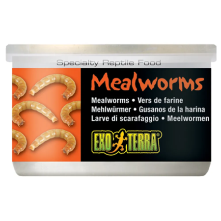 ExoTerra Melorme dåsefoder til krybdyr 34 g.