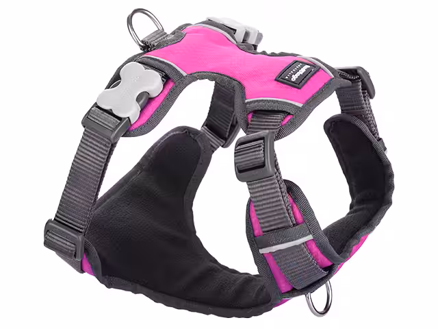 Red Dingo polstret sele pink
