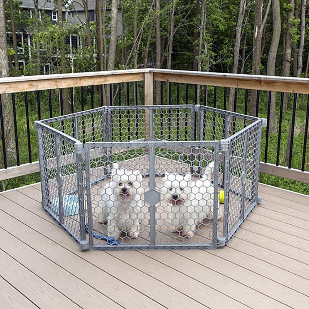 Carlson 2 in 1 plastic gate
