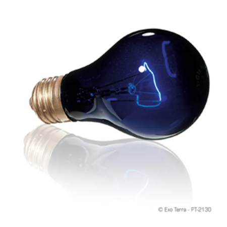 Exoterra night heat lamp blå 50 W A19 E27