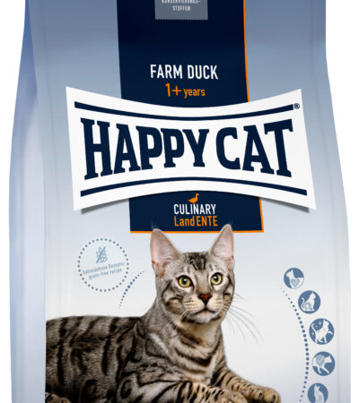 Happy Cat Land Ente