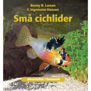 Atelier bog om små cichlider