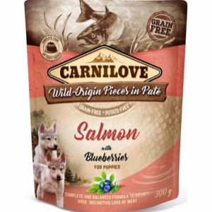 Carnilove pouch pate salmon with blueberries for puppies