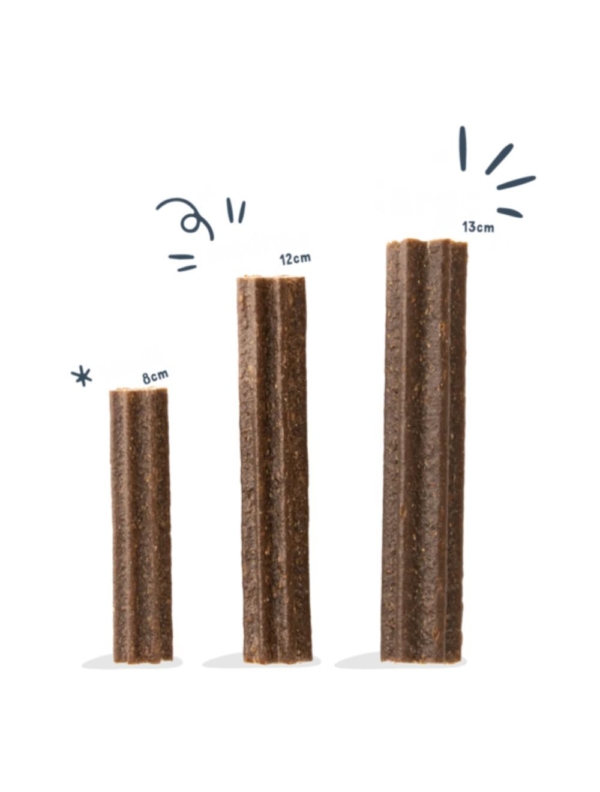 Edgard & Cooper Doggy Dental æble & Eukalyptus Sticks, L - Billede 2