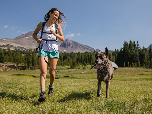 Ruffwear Switchbak sele grå