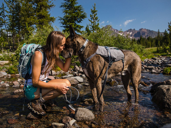 Ruffwear Switchbak sele grå