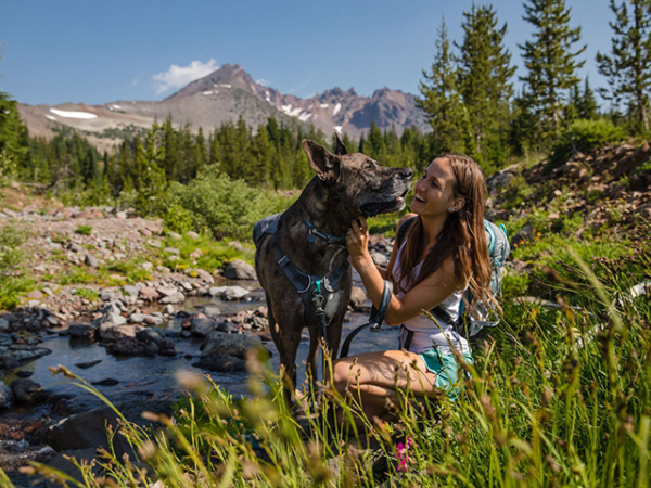 Ruffwear Switchbak sele grå