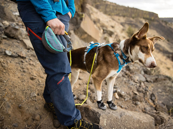 Ruffwear flagline sele blå