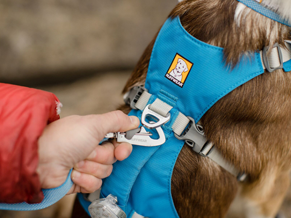 Ruffwear flagline sele blå