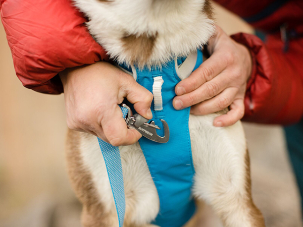 Ruffwear flagline sele blå