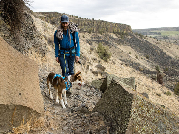 Ruffwear flagline sele blå