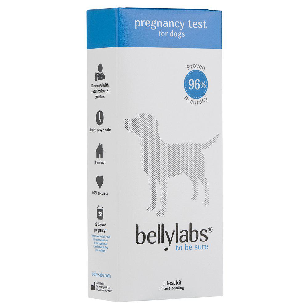 dato uddanne Bordenden Bellylabs graviditetstest til hunde.