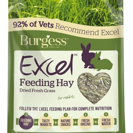 Burgess Excel Dried Fresh Grass
