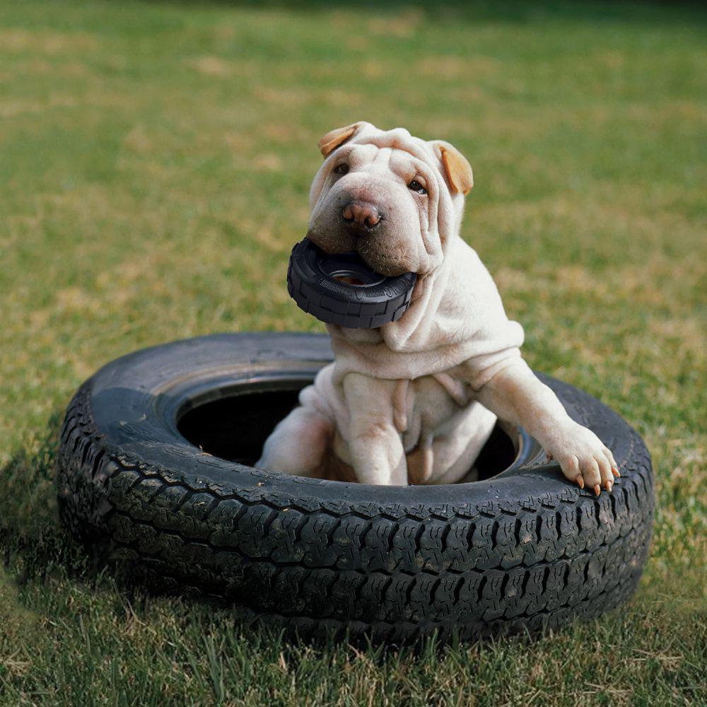 Kong extreme tire.