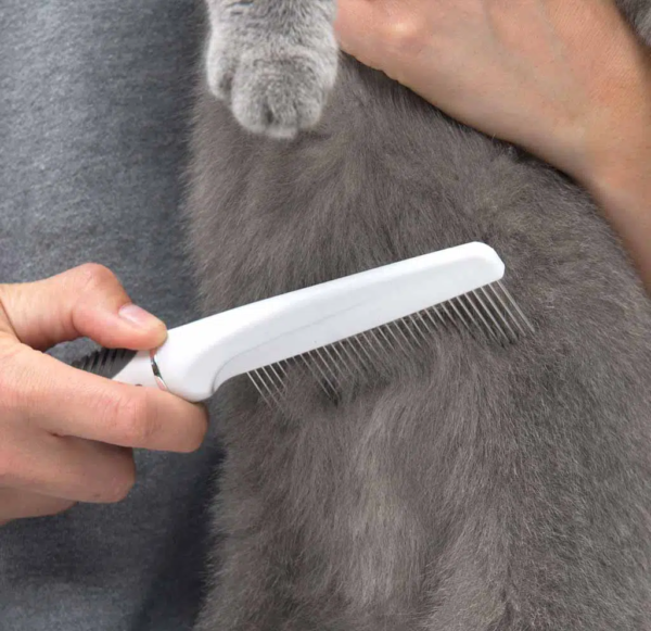 Catit shorthair grooming kit.