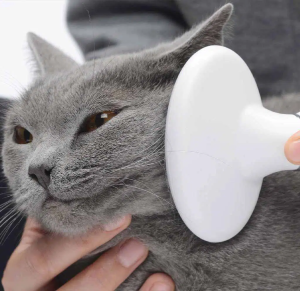 Catit shorthair grooming kit.