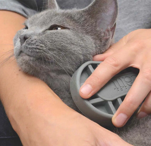 Catit shorthair grooming kit.