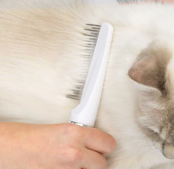 Catit longhair grooming kit.