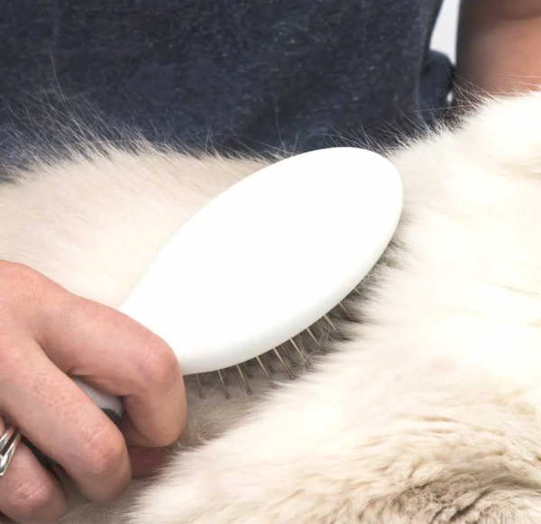 Catit longhair grooming kit.